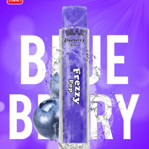 Blueberry Blast(Pack of 24 pcs)